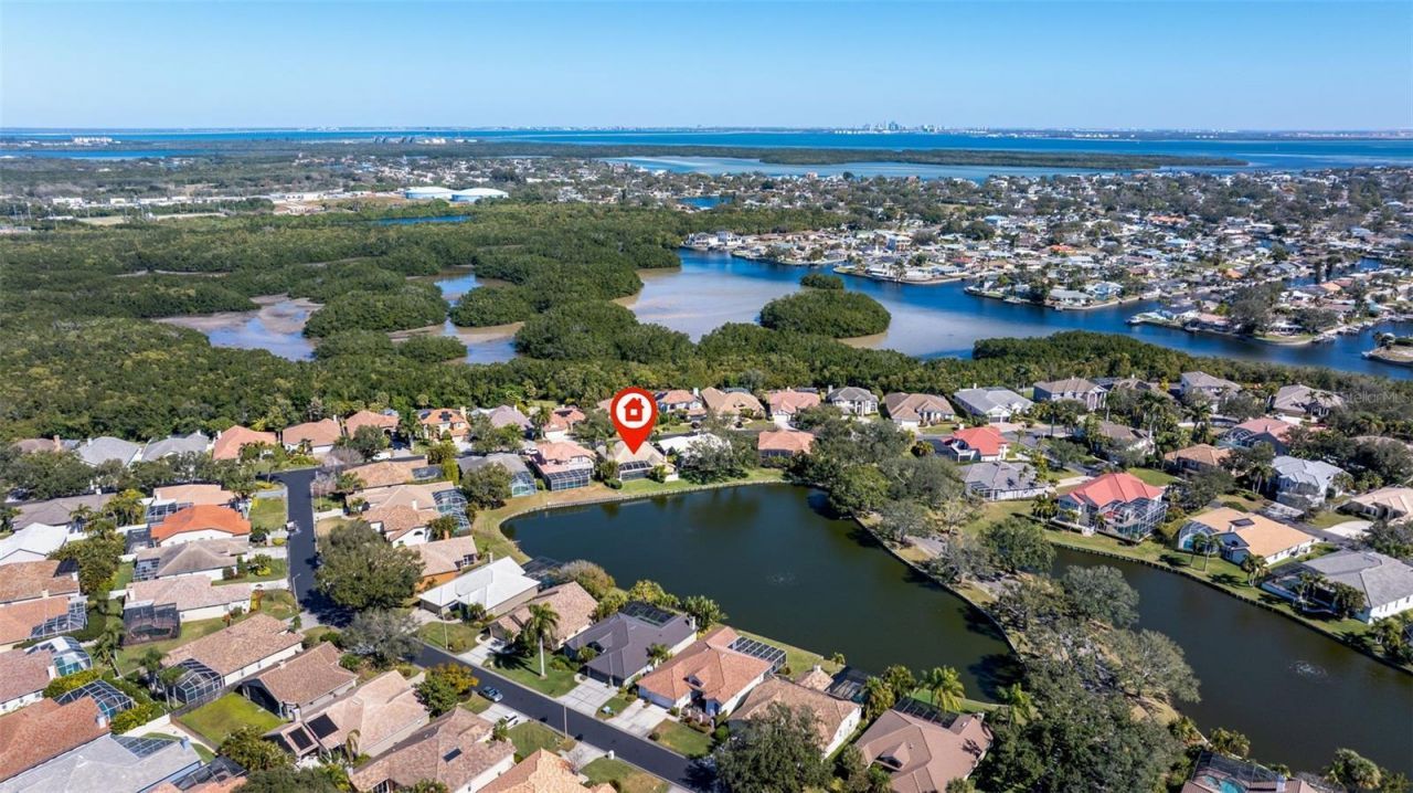 1144 Darlington Oak Drive Ne, Saint Petersburg, FL 33703 Photo