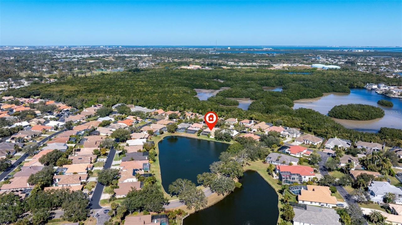 1144 Darlington Oak Drive Ne, Saint Petersburg, FL 33703 Photo