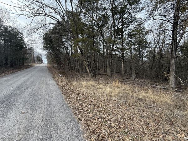 130, 131 Turkey Mountain Estates #2, Shell Knob, MO 65747