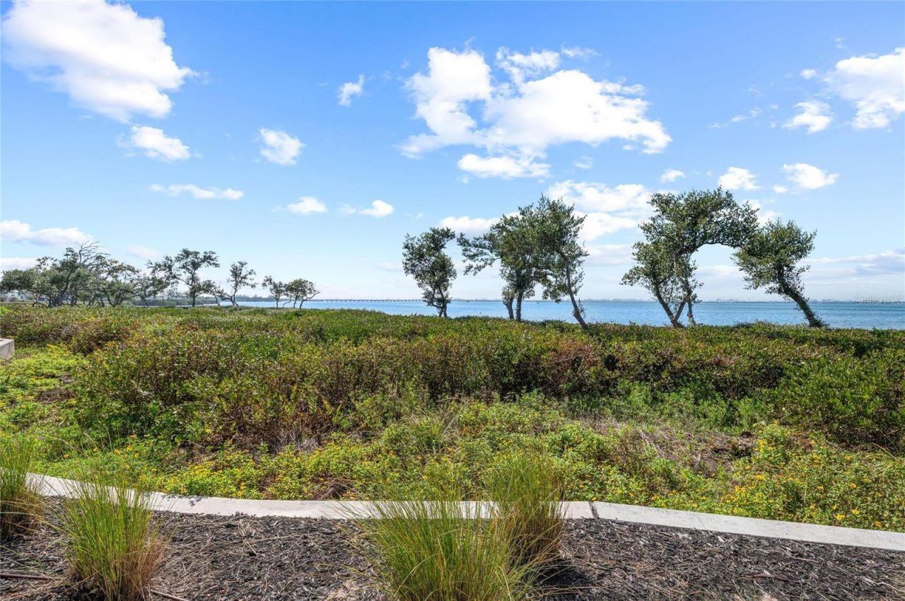 268 Saint Lucia Drive, Unit 101, Bradenton, FL 34209 Photo