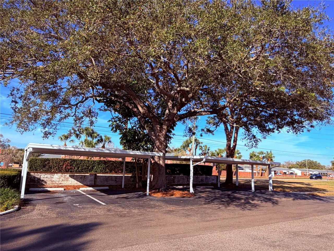 1140 83rd Avenue N, Unit C, Saint Petersburg, FL 33702 Photo