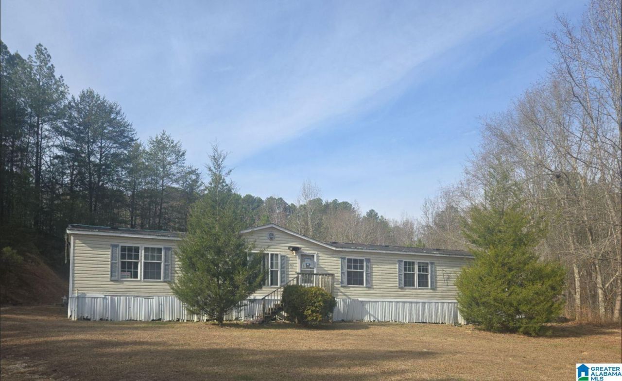 3705 Cook Springs Road, Pell City, AL 35125 Main Photo