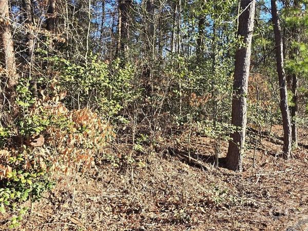 1214 Cartwright Drive, Catawba, NC 28609