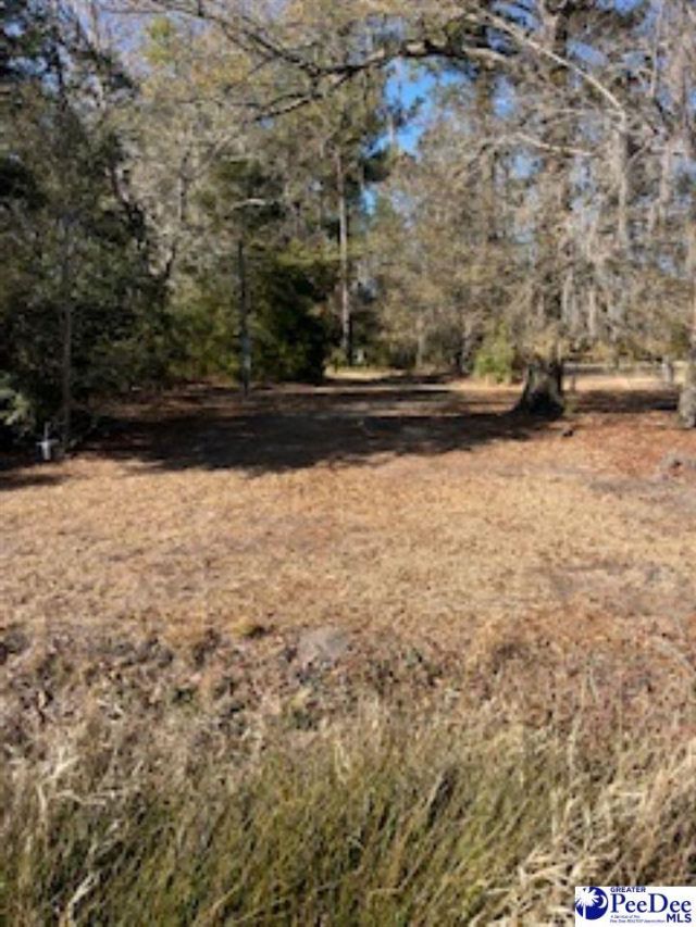 1432 Twin Lakes Rd. Photo 28