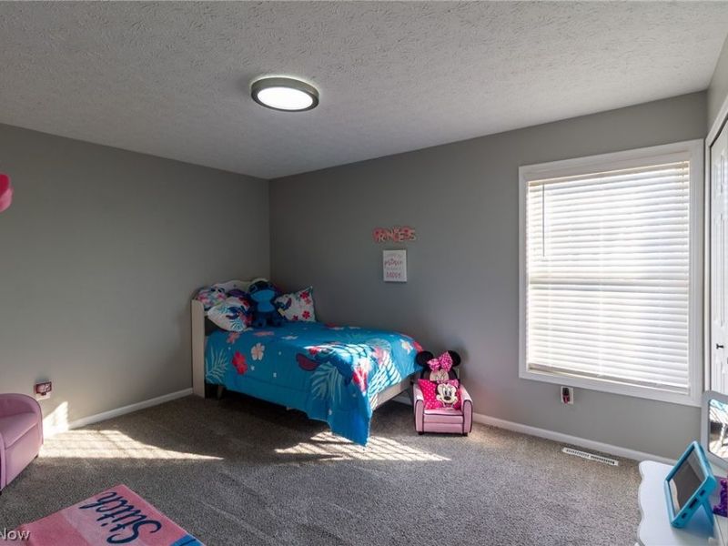 9985 Beverly Lane, Streetsboro, OH 44241 Photo 22