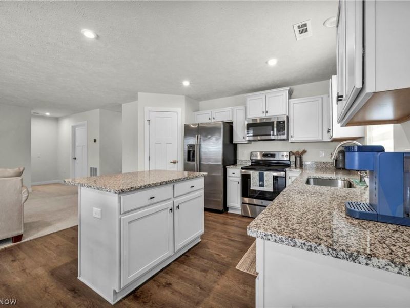 141 W Spring Drive, Elyria, OH 44035 Photo 10