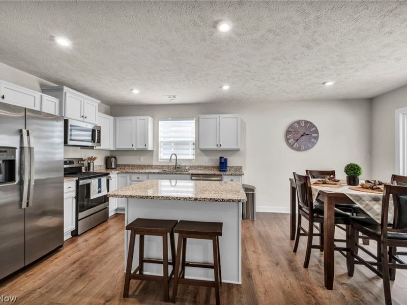 141 W Spring Drive, Elyria, OH 44035 Photo 14