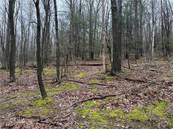 0 Club Rd , Berlin, PA 15530