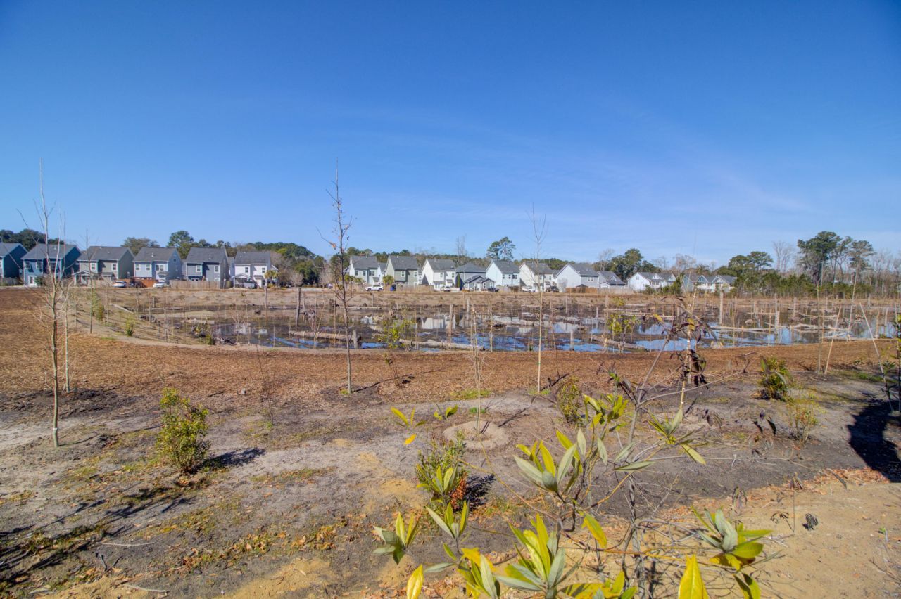 1799 Towne Street Photo 38