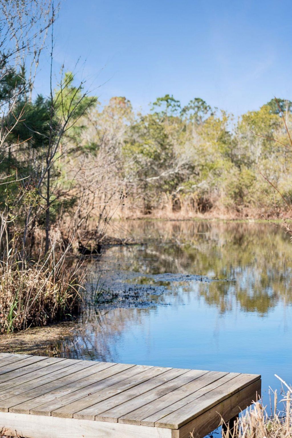 1506 Lucas Isle Court Photo 49