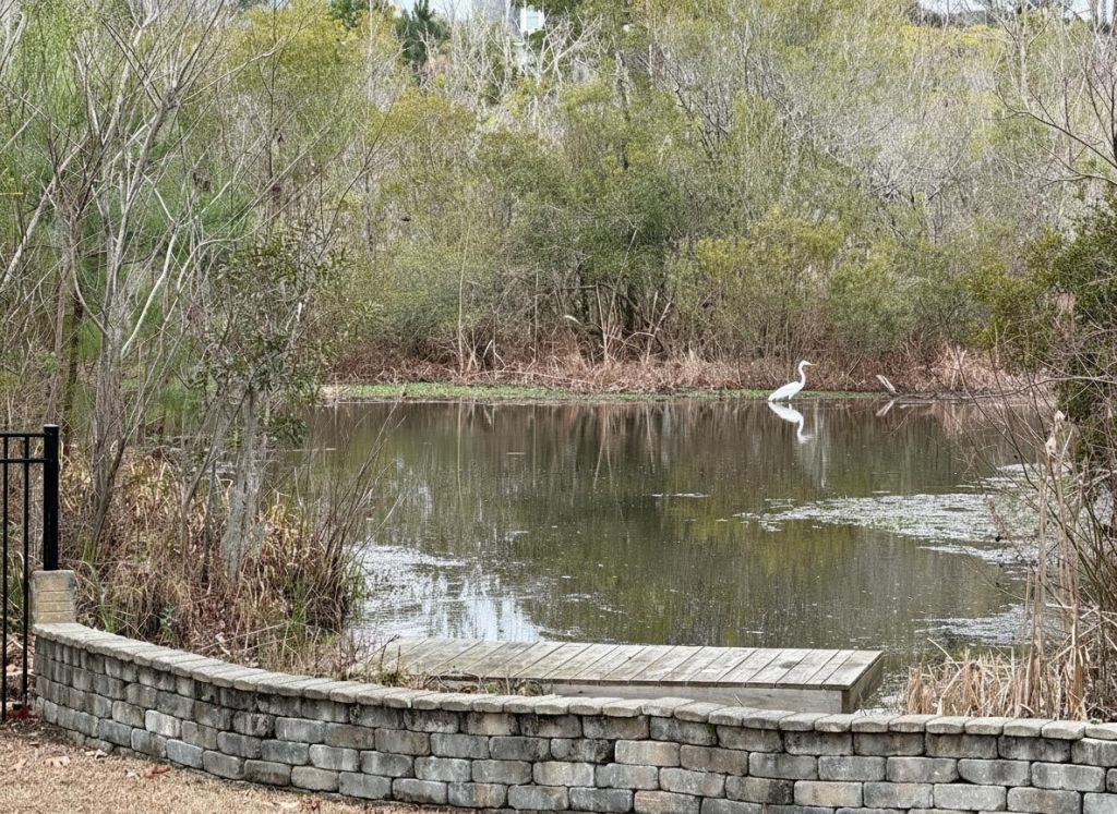 1506 Lucas Isle Court Photo 50