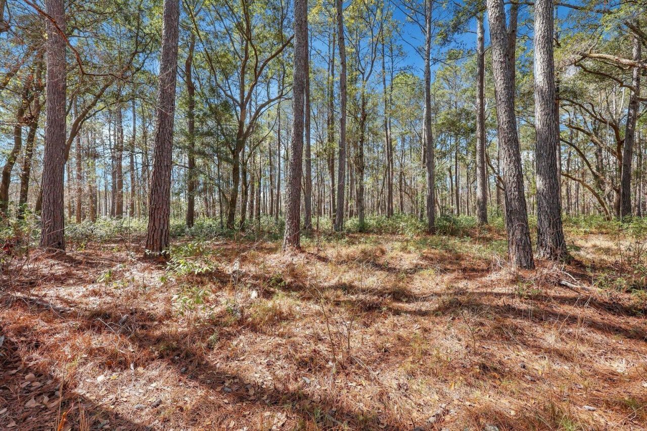 1010 Towhee Lane Photo 1