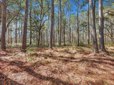 1010 Towhee Lane, McClellanville, SC 29458