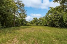 3101 Farrow Road photo 4