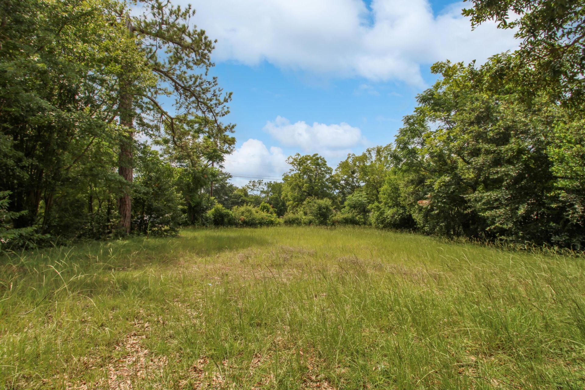 3101 Farrow Road Photo 4