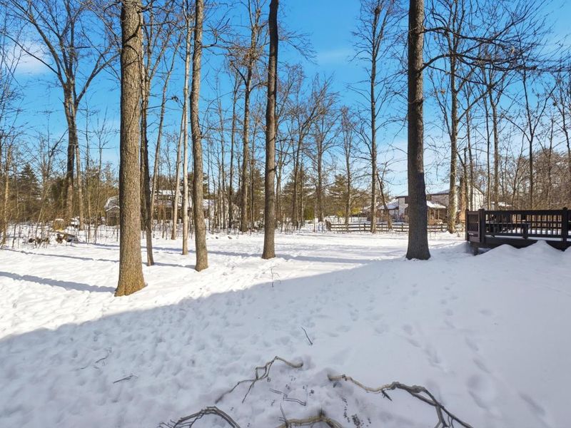 4860 Bayhill Drive, Powell, OH 43065 Photo 68