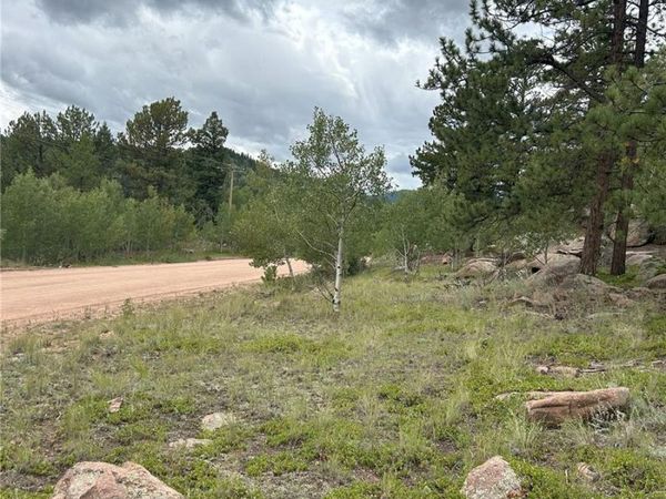 155 County Road 403, Florissant, CO 80816