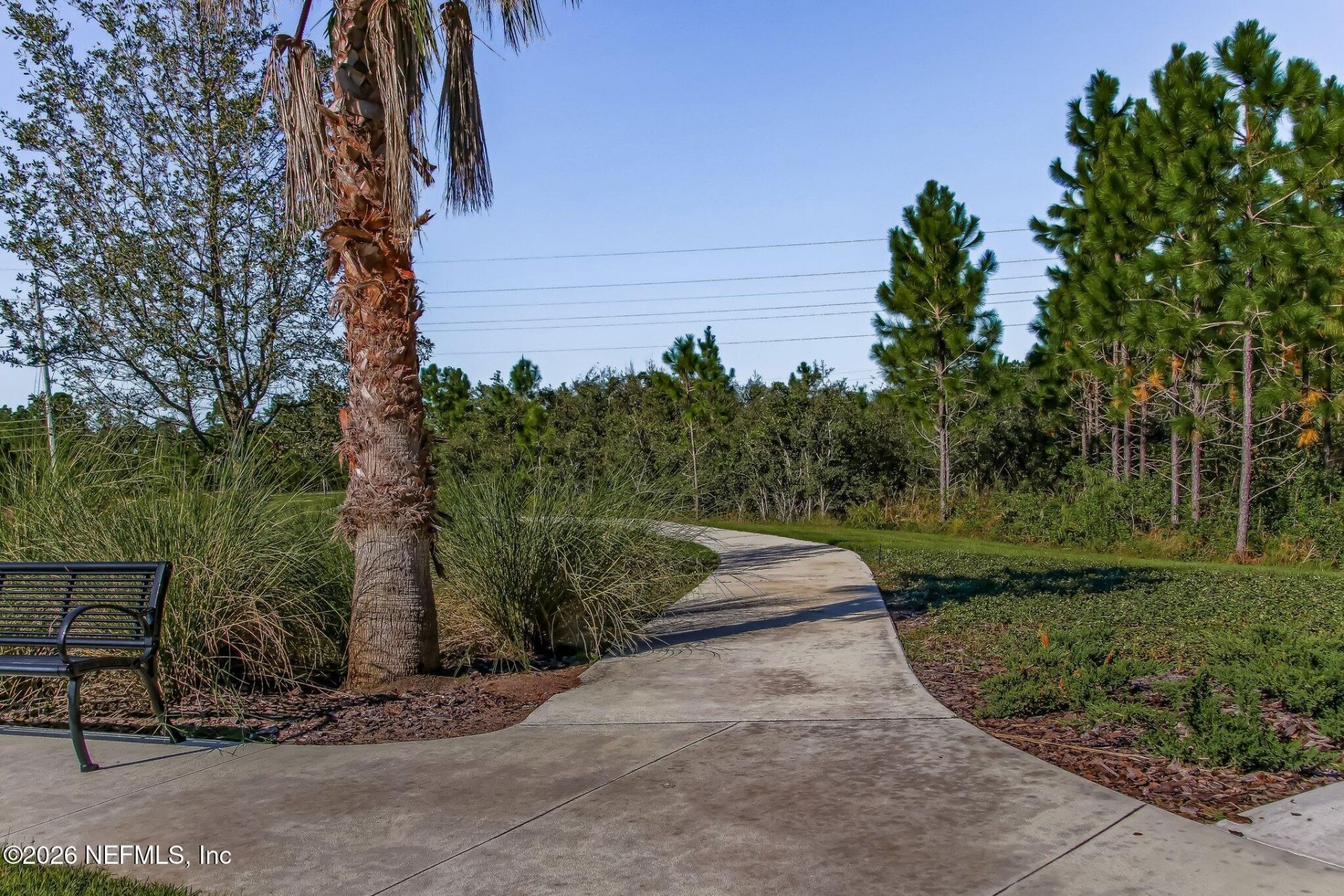 2978 Cassia Lane, Jacksonville, FL 32246 Photo