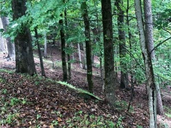 6055 Crested Iris Circle, Jasper, GA 30143