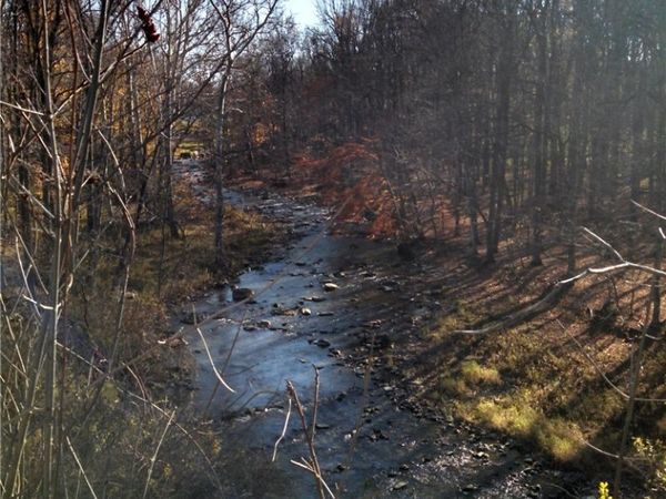 6240 Pheasants Crossing, Farmington, NY 14425