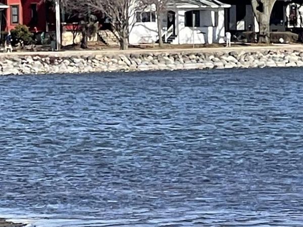 135 S BRITTINGHAM Place, Madison, WI 53715