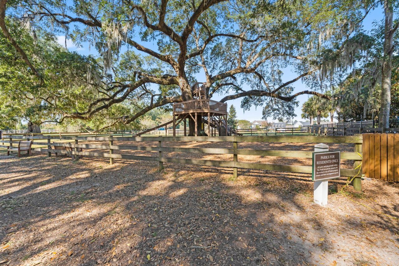 125 Trumpet Vine Drive Photo 47