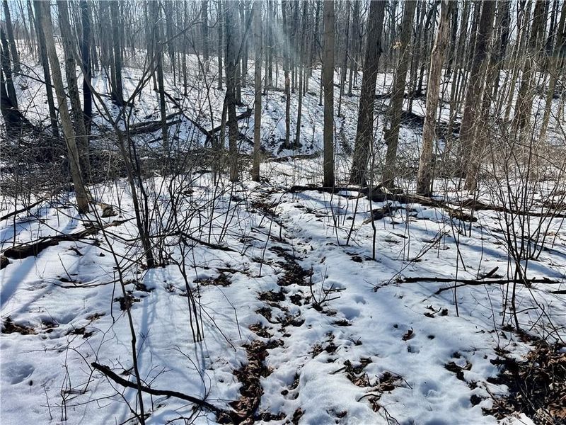 0 County Road 5, Zanesfield, OH 43360 Photo 33