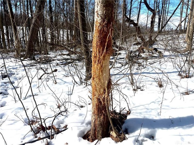 0 County Road 5, Zanesfield, OH 43360 Photo 33