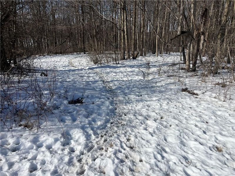 0 County Road 5, Zanesfield, OH 43360 Photo 38