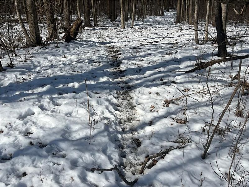 0 County Road 5, Zanesfield, OH 43360 Photo 39