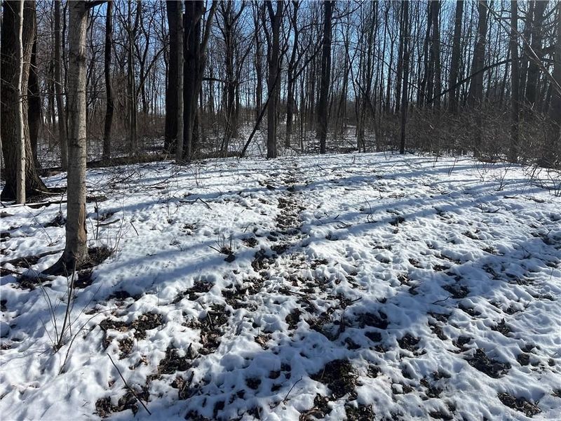 0 County Road 5, Zanesfield, OH 43360 Photo 42