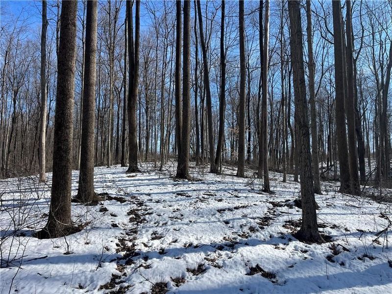 0 County Road 5, Zanesfield, OH 43360 Photo 43