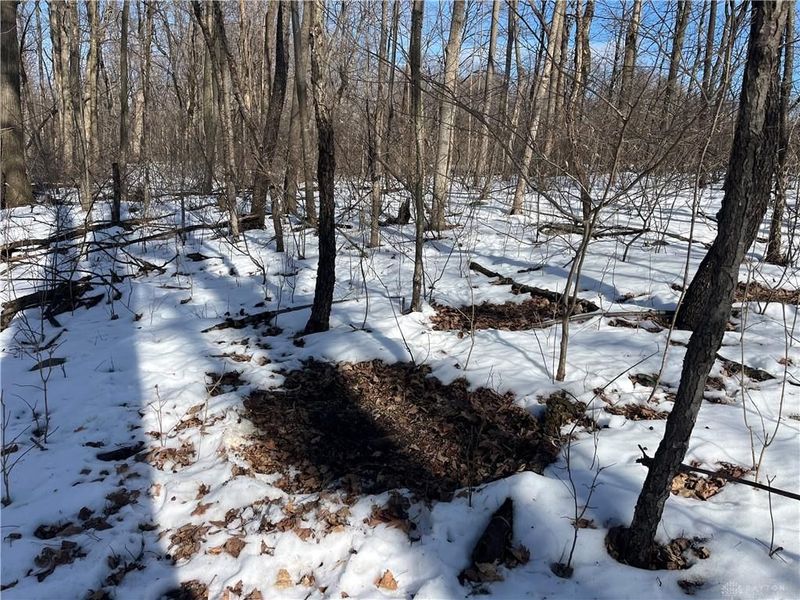 0 County Road 5, Zanesfield, OH 43360 Photo 45