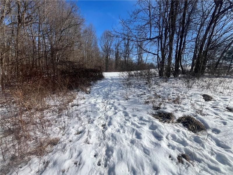 0 County Road 5, Zanesfield, OH 43360 Photo 49