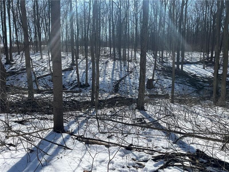 0 County Road 5, Zanesfield, OH 43360 Photo 52