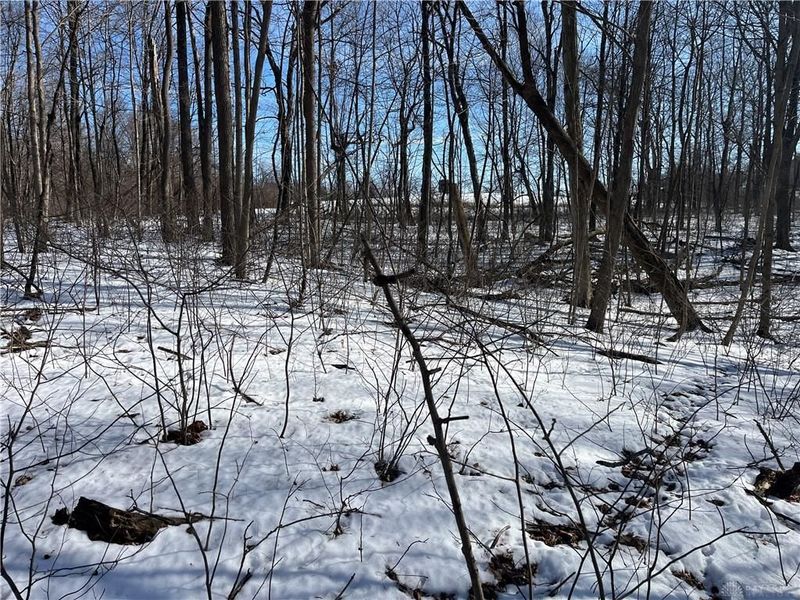 0 County Road 5, Zanesfield, OH 43360 Photo 53