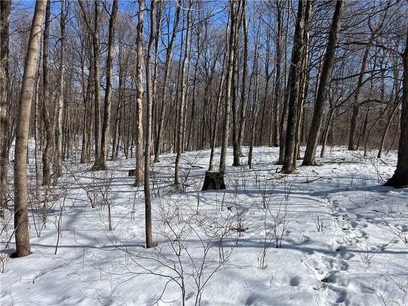 0 County Road 5, Zanesfield, OH 43360 Photo 57