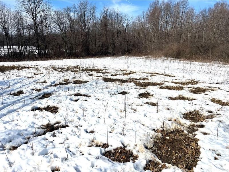 0 County Road 5, Zanesfield, OH 43360 Photo 60