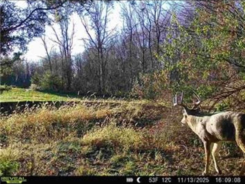 0 County Road 5, Zanesfield, OH 43360 Photo 69