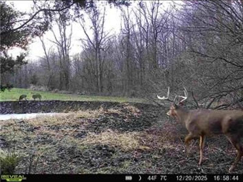 0 County Road 5, Zanesfield, OH 43360 Photo 73