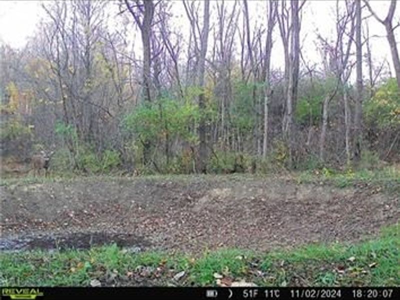 0 County Road 5, Zanesfield, OH 43360 Photo 74