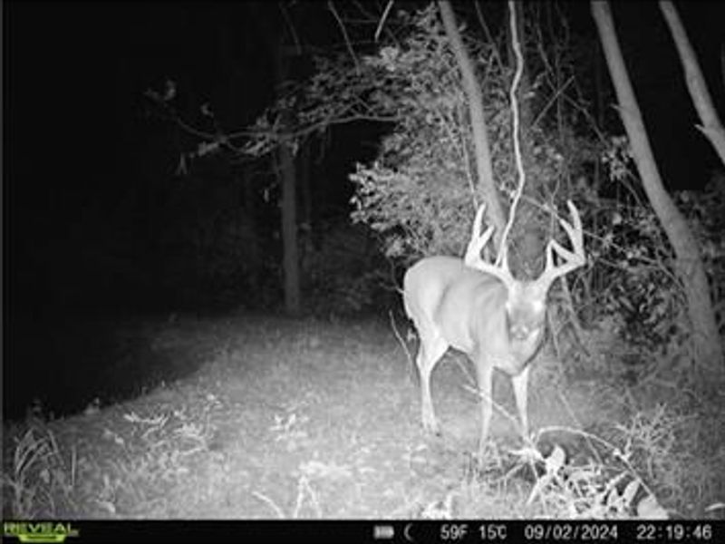 0 County Road 5, Zanesfield, OH 43360 Photo 75