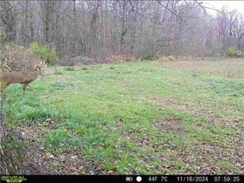 0 County Road 5, Zanesfield, OH 43360 Photo 77