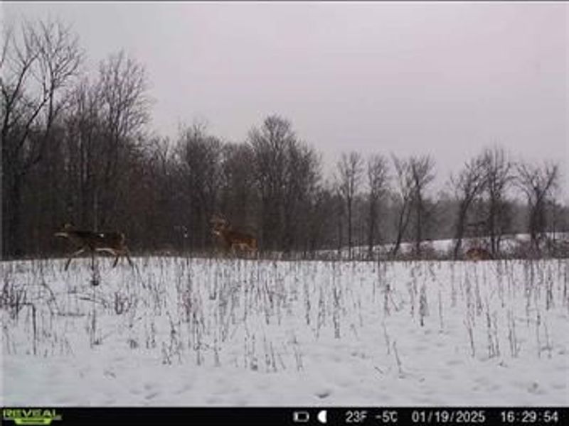 0 County Road 5, Zanesfield, OH 43360 Photo 78