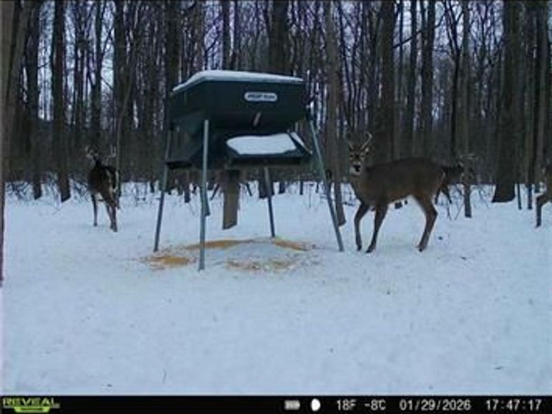 0 County Road 5, Zanesfield, OH 43360 Photo 80