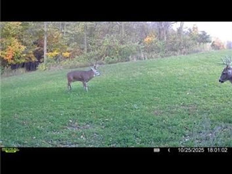 0 County Road 5, Zanesfield, OH 43360 Photo 82