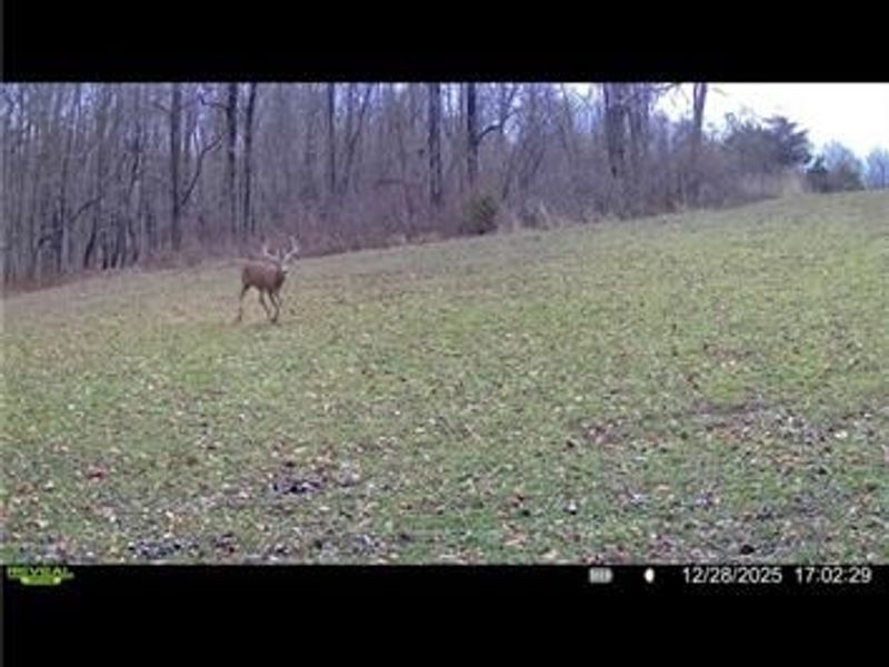 0 County Road 5, Zanesfield, OH 43360 Photo 83