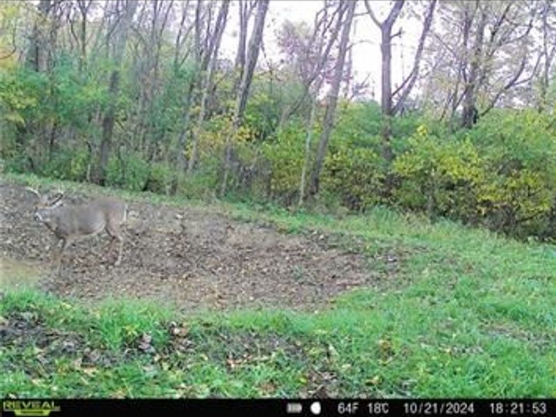 0 County Road 5, Zanesfield, OH 43360 Photo 84