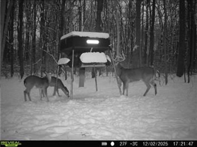 0 County Road 5, Zanesfield, OH 43360 Photo 87