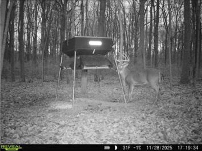 0 County Road 5, Zanesfield, OH 43360 Photo 88